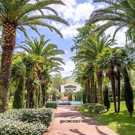 Appartement T2 A Cambo-Les-Bains Avec Piscine, Terrasse Et Parking Prive, Proche Des Thermes - Fr-1-495-82 Екстер'єр фото